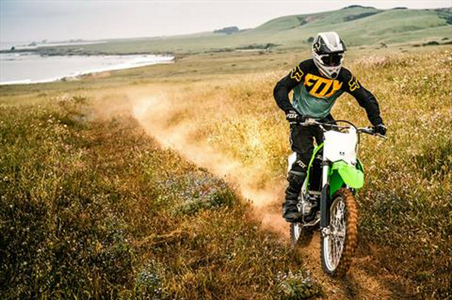 2021 Kawasaki KLX 300R