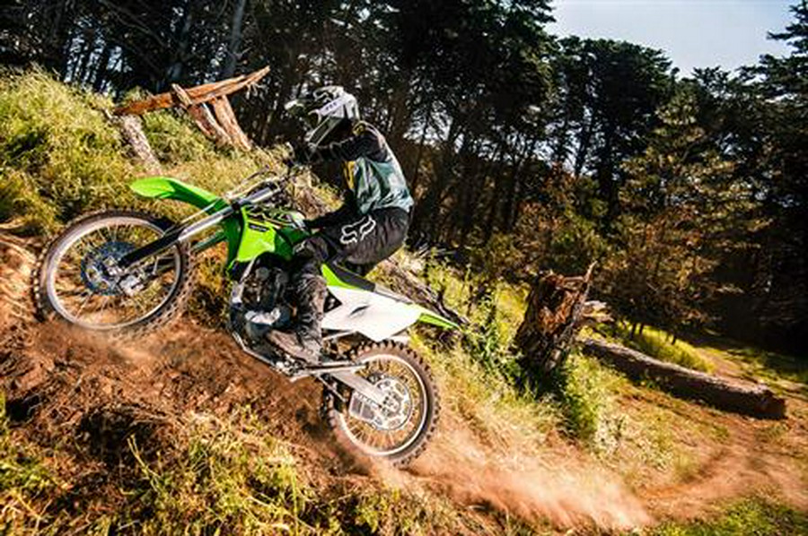 2021 Kawasaki KLX 300R