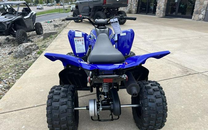 2026 Yamaha Raptor 110