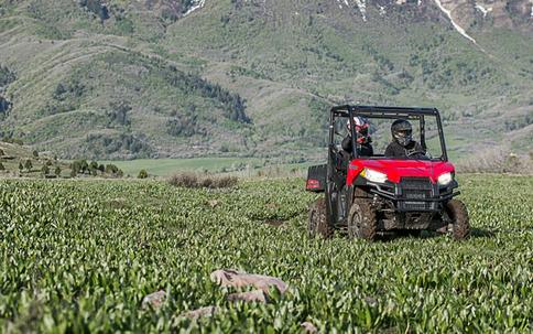 2019 Polaris Ranger 500