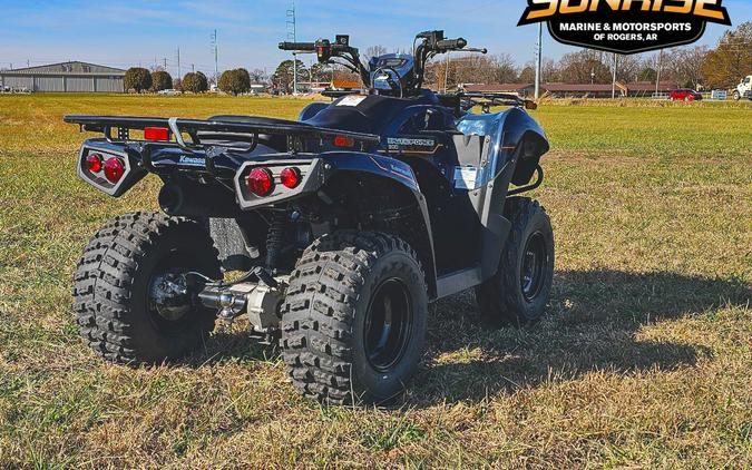 2025 Kawasaki Brute Force® 300