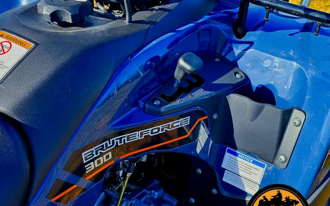 2025 Kawasaki Brute Force® 300