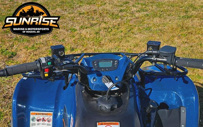 2025 Kawasaki Brute Force® 300