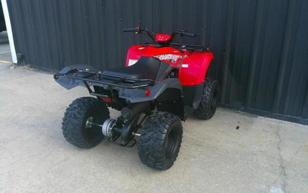 2025 Yamaha Grizzly 110