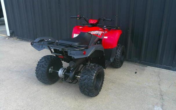2025 Yamaha Grizzly 110