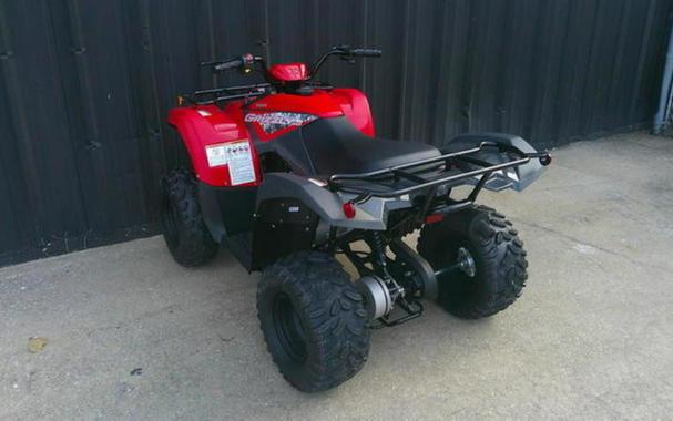 2025 Yamaha Grizzly 110
