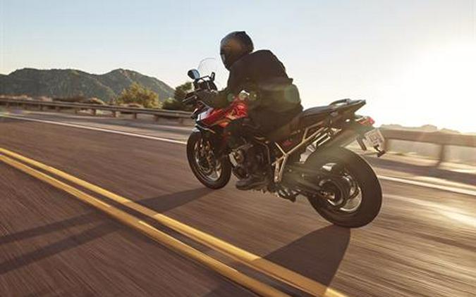 2026 Triumph Tiger 900 GT Pro