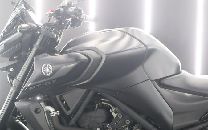 2021 Yamaha Motor Corp., USA MT-03