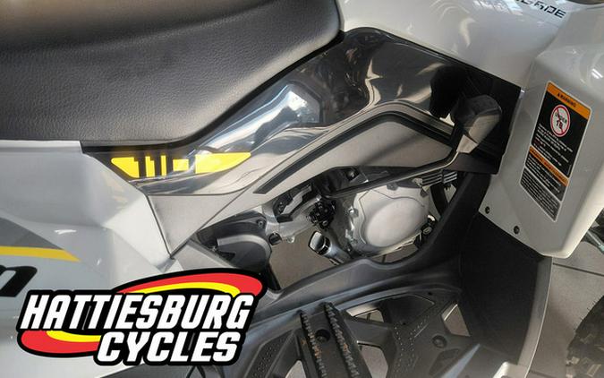 2026 Can-Am Renegade 110 EFI