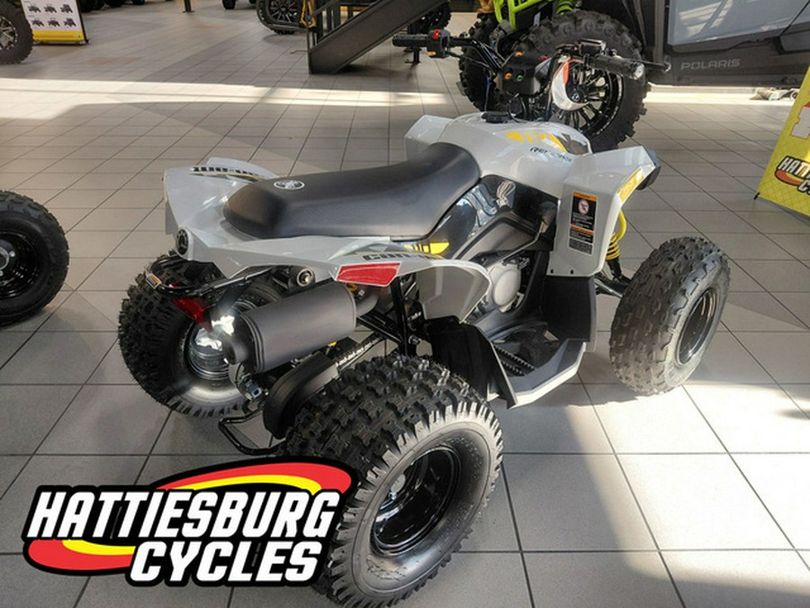 2026 Can-Am Renegade 110 EFI