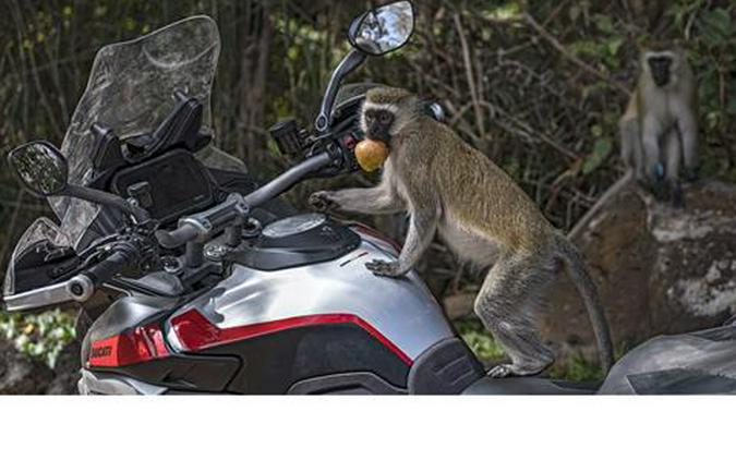 2025 Ducati Multistrada V4 Rally Adventure Travel & Radar