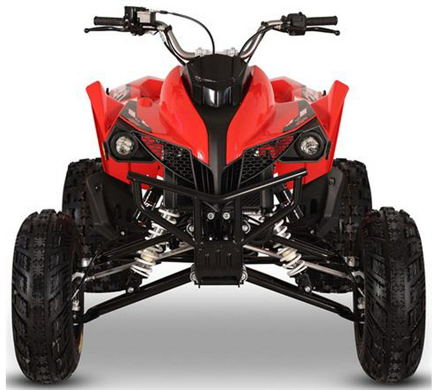 2026 Kayo Storm 300 EFI