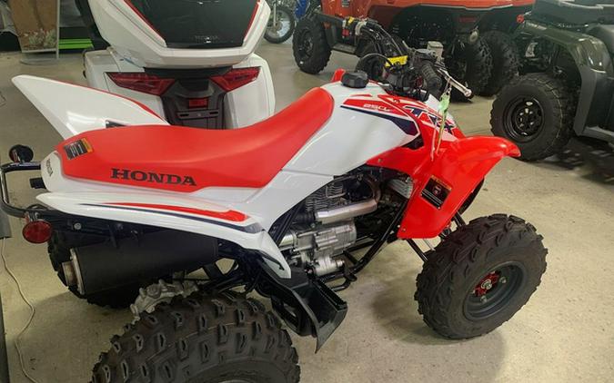 2024 Honda TRX 250X