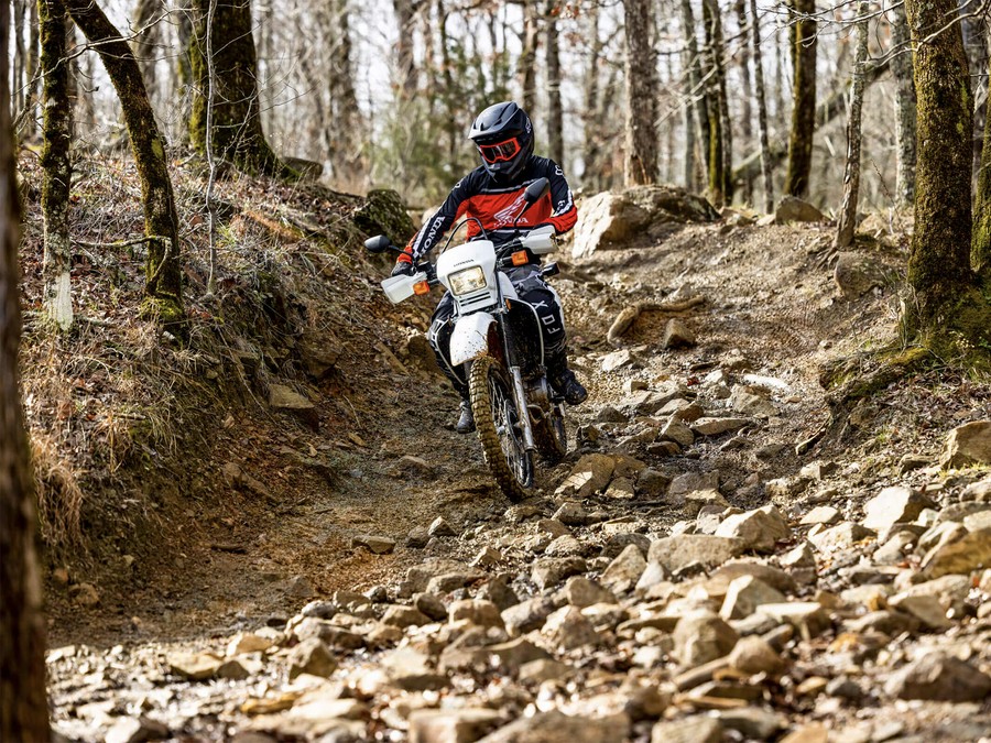 2025 Honda XR650L