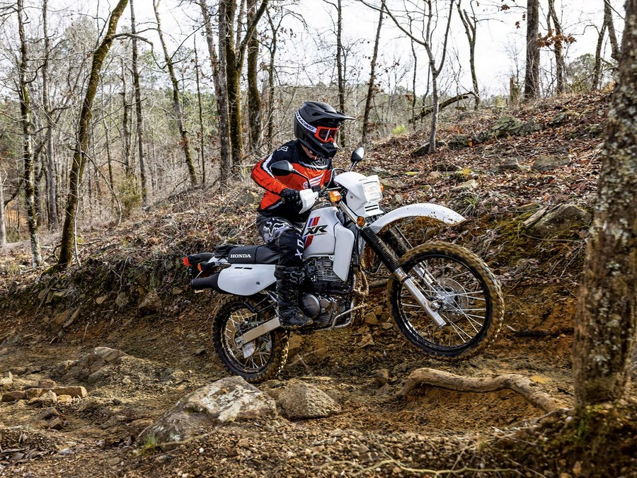 2025 Honda XR650L