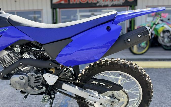 2024 Yamaha TT-R 125LE