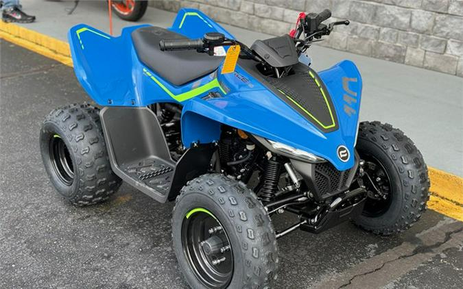 2024 CFMOTO CFORCE 110