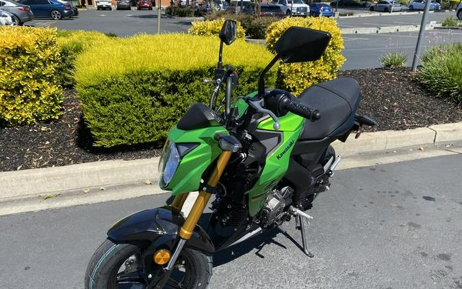 2024 Kawasaki Z125 PRO