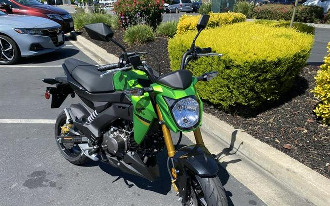 2024 Kawasaki Z125 PRO