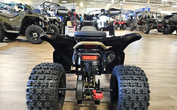 2026 Denago Powersports Trailhawk 10FI ATV Black - 110146