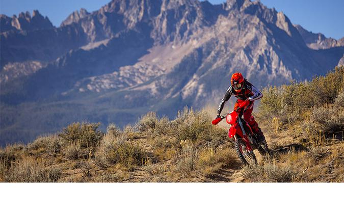 2026 Ducati Desmo450 EDX