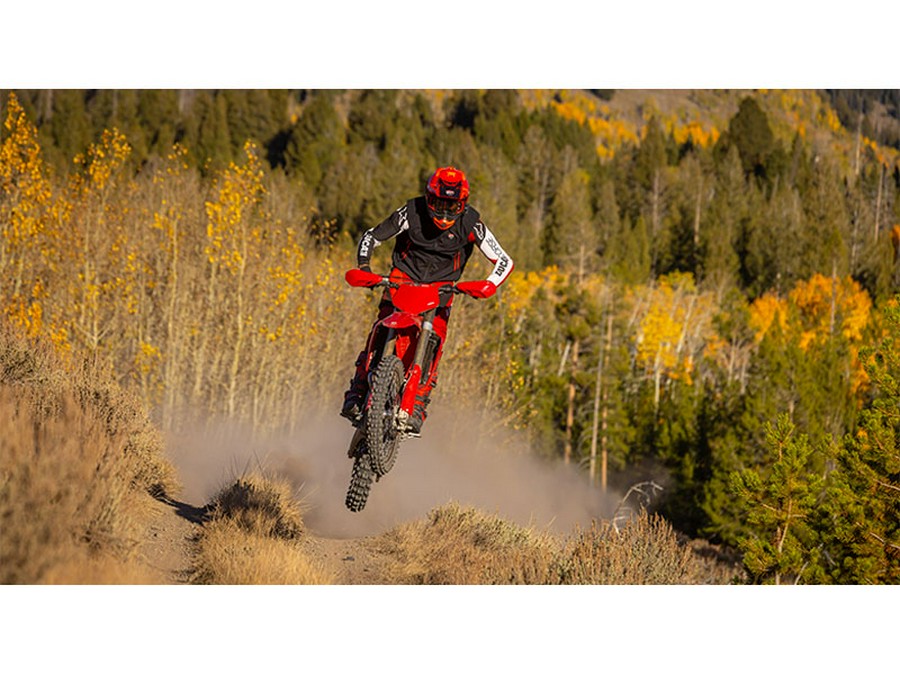 2026 Ducati Desmo450 EDX