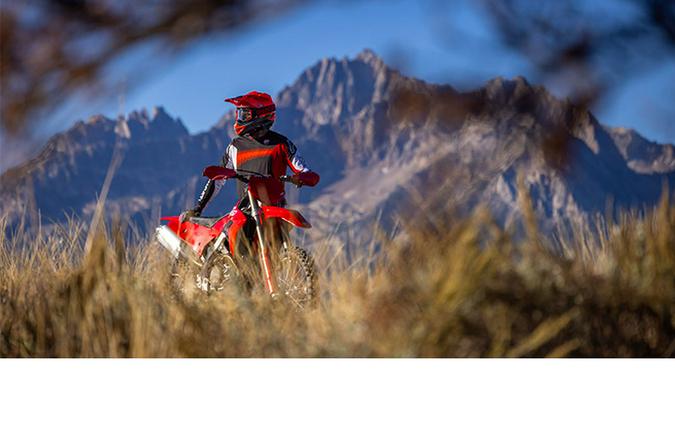 2026 Ducati Desmo450 EDX