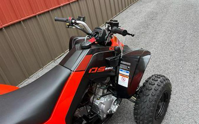 2024 Can-Am DS 250