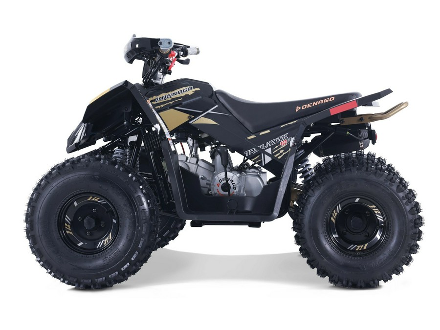 2026 Denago Powersports Trailhawk 10FI ATV Black - 110145