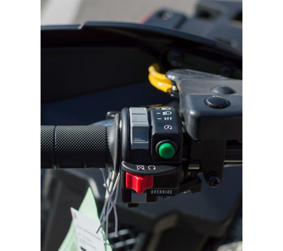 2025 Kawasaki Brute Force 750 LE EPS Camo