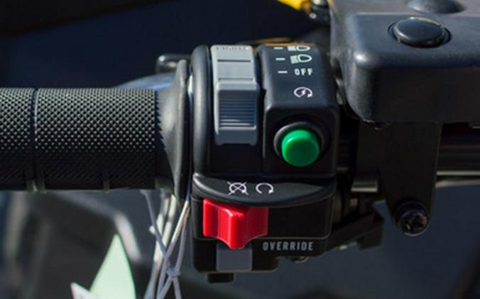 2025 Kawasaki Brute Force 750 LE EPS Camo