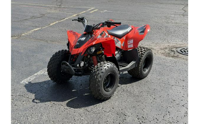 2019 Can-Am DS 70