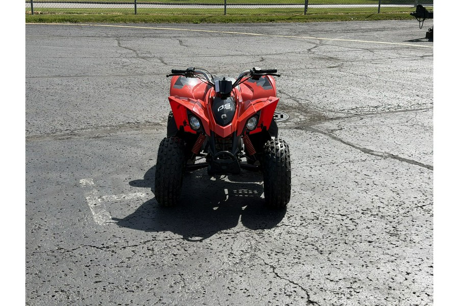 2019 Can-Am DS 70