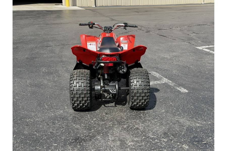 2019 Can-Am DS 70