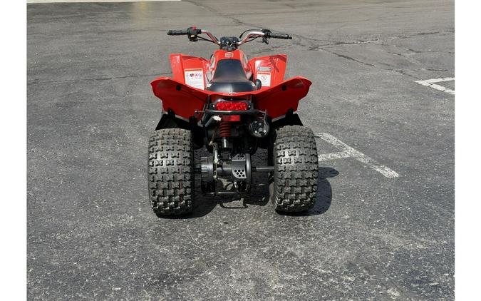 2019 Can-Am DS 70