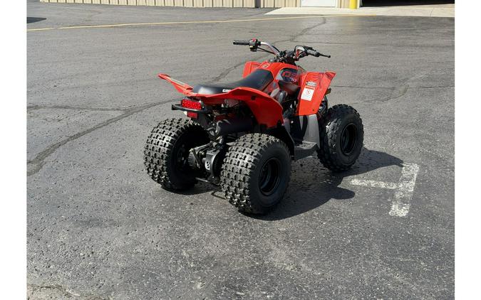 2019 Can-Am DS 70