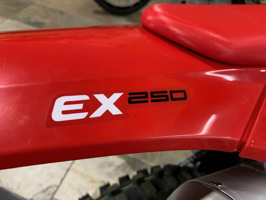 2024 GASGAS EX250