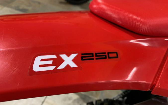 2024 GASGAS EX250