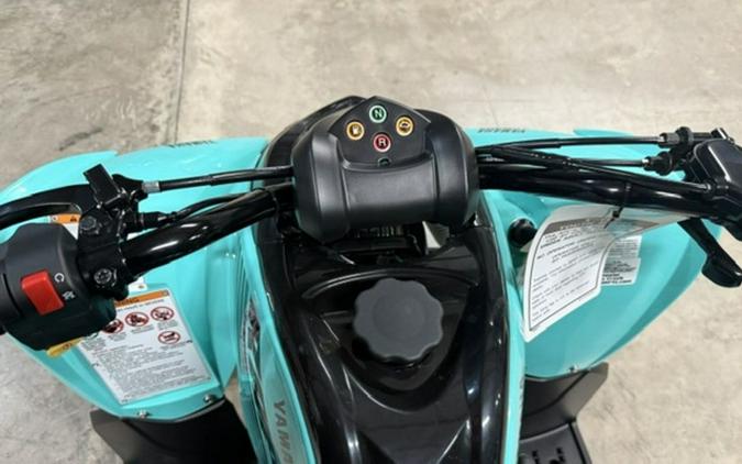 2025 Yamaha Raptor 110