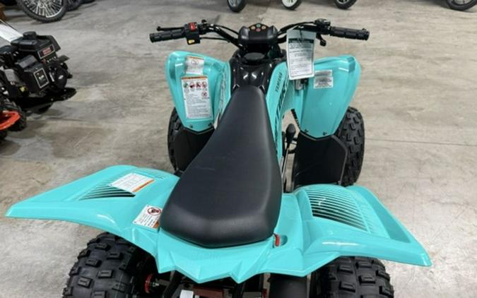 2025 Yamaha Raptor 110