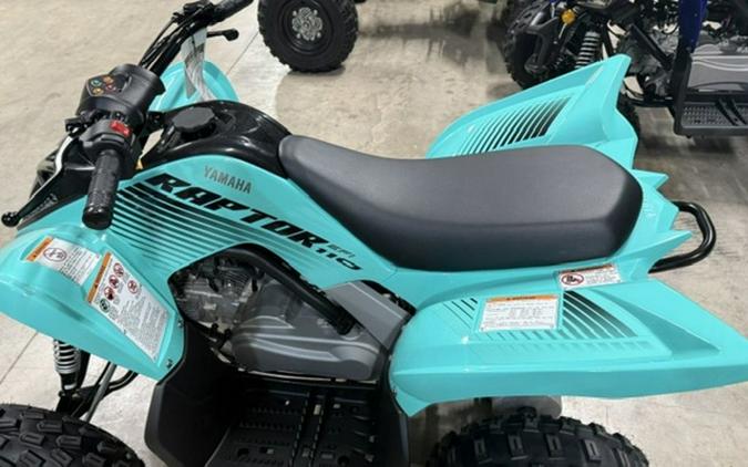 2025 Yamaha Raptor 110