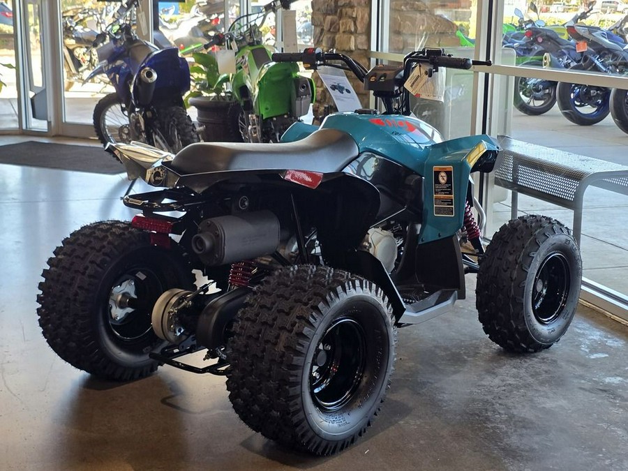 2026 Can-Am Renegade 110 EFI