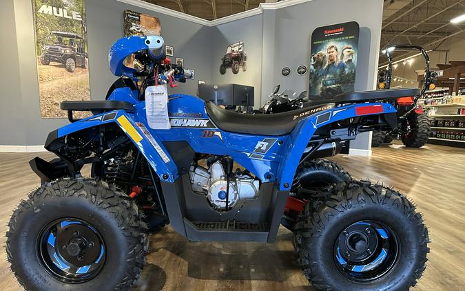 2026 Denago Powersports Mudhawk 10FI ATV Blue - 110143
