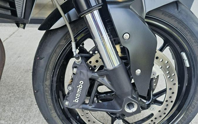 2021 BMW F 900 R