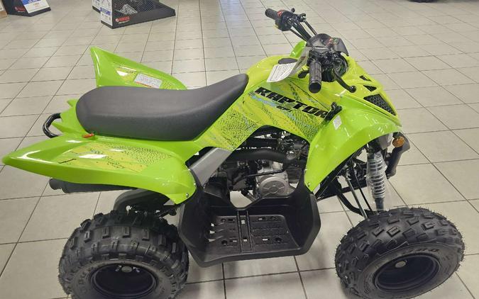 2026 Yamaha Raptor 110