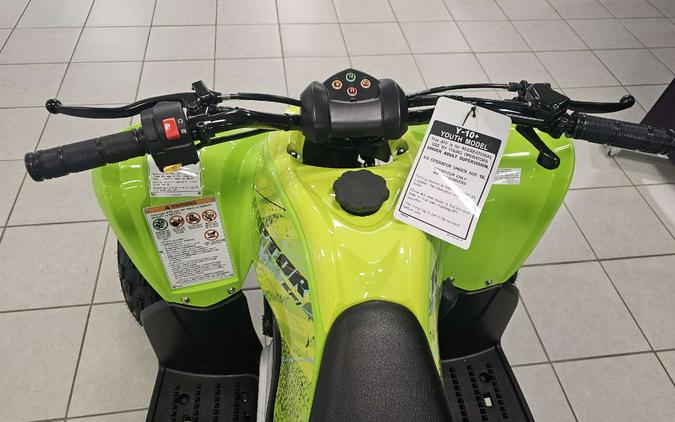 2026 Yamaha Raptor 110