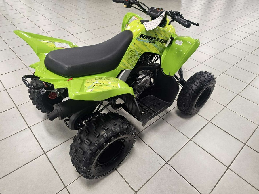 2026 Yamaha Raptor 110