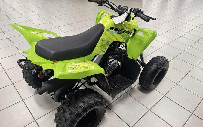 2026 Yamaha Raptor 110