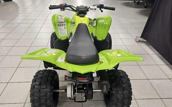 2026 Yamaha Raptor 110