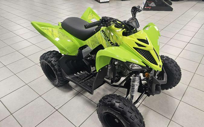 2026 Yamaha Raptor 110